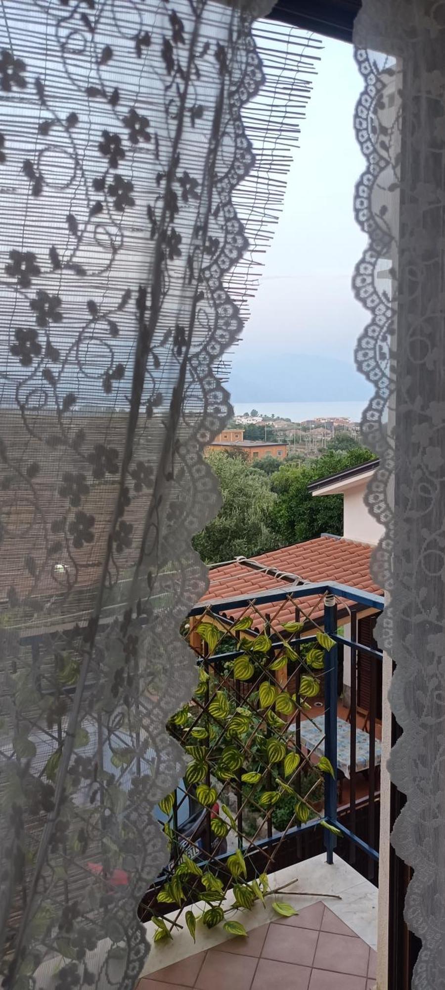 Adelina E Il Bosso Daire Policastro Bussentino Dış mekan fotoğraf